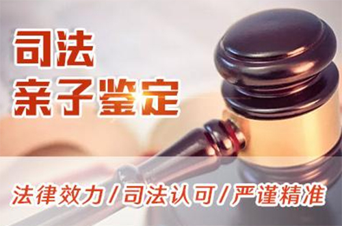 贵阳司法亲子鉴定详细流程及材料,贵阳司法亲子鉴定准确吗