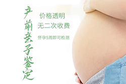 贵阳怀孕7周做胎儿亲子鉴定怎么做？贵阳怀孕7周做胎儿亲子鉴定准确吗？